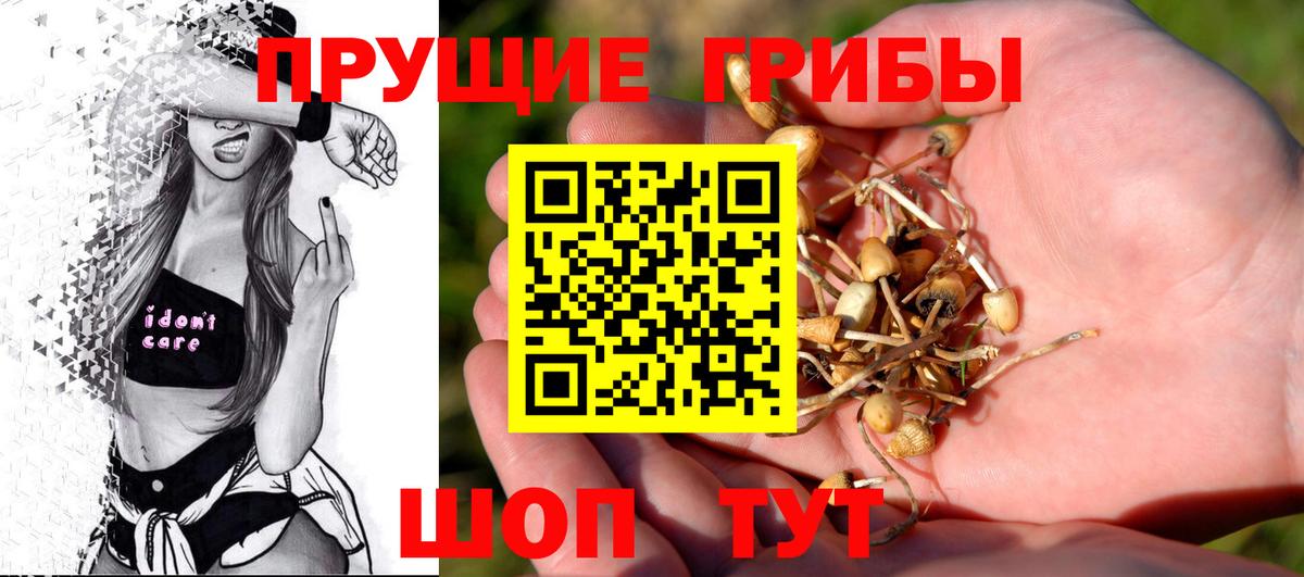 Псилоцибиновые грибы Psilocybe  Вход с VPN  Рузаевка 